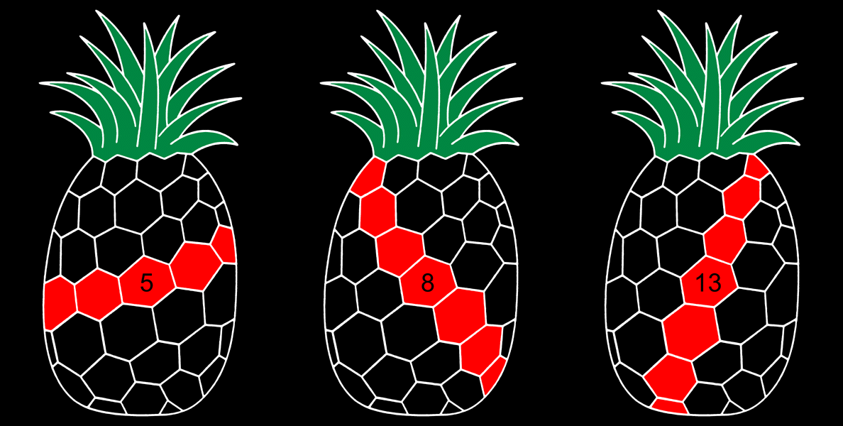 _images/ananas.png